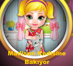 Madison Kedisine Bakıyor